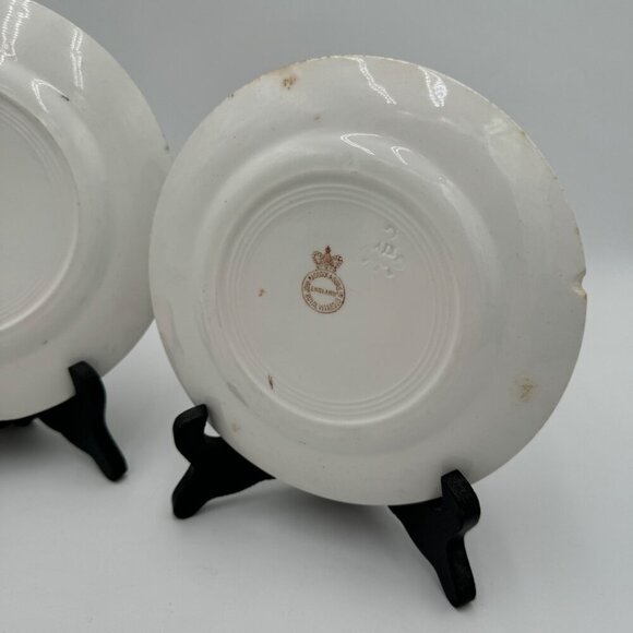 Vintage John Maddock and Sons Royal Vitreous Peacock Dessert Plate set of two - Picture 7 of 15